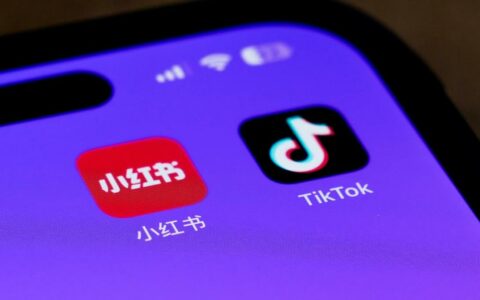 Rednote vs TikTok：优点、缺点有哪些？