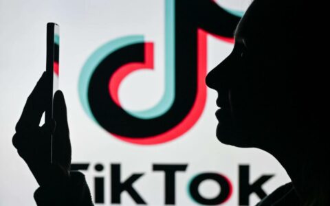 外媒：拜登搁置TikTok禁令决定，特朗普政府将接手裁决