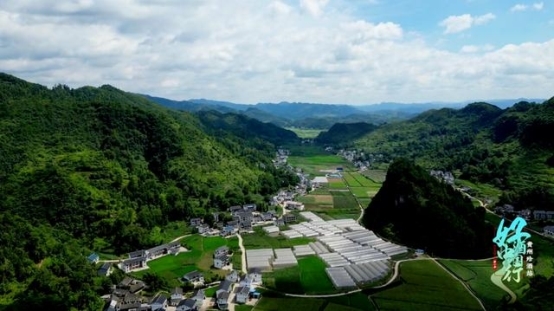 行业进入“大科学时代”，2024年度“中国酒业十大科学创新事件”揭晓