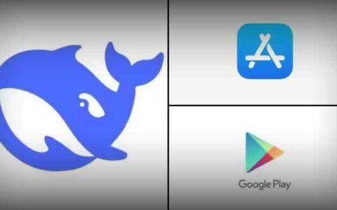 DeepSeek应用在意大利下架，或与数据隐私问题有关