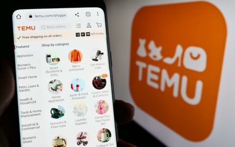 TEMU半托管广告新策略：助力商家抢占市场先机