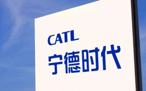 宁德时代海外电池市场夺冠，比亚迪强劲增长位列第六