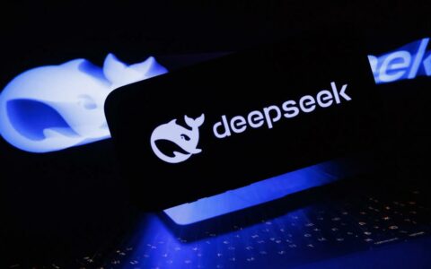深度求索DeepSeek拟启动首轮融资：阿里、中投或入局