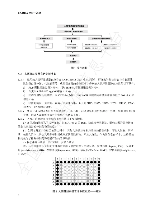 华夏源类器官：国内首个《基于人源肝脏类器官的药物肝脏毒性评价技术》团体标准正式发布