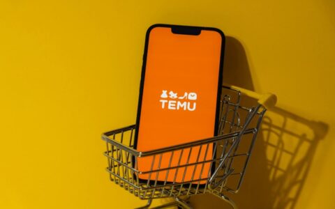 ‌Temu韩国推出L2L模式，全面招商本土卖家