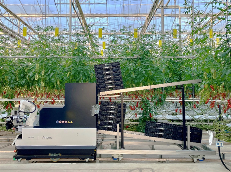 电装与Certhon推出全自动收割机器人Artemy® 助力农业可持续发展