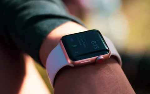 美国 Apple Watch 用户不满碳抵消    对苹果环保宣传存在误导提起诉讼