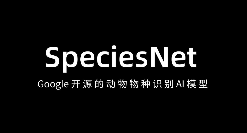 谷歌开源SpeciesNet AI模型：6500万张图训练，2000种物种一键辨