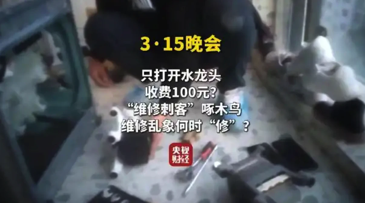 315晚会曝光啄木鸟家庭维修平台乱象   家电维修藏猫腻