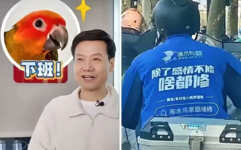 雷军姚劲波是啄木鸟重要投资人 企业年内两度冲刺港交所