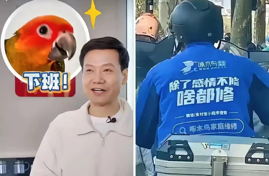 雷军姚劲波是啄木鸟重要投资人 企业年内两度冲刺港交所