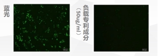 华妍光钥搭载专利，探索蓝光防护新篇章