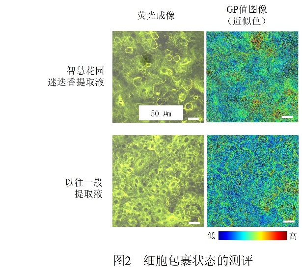 https://img.kejixun.co/2025/04/2025040904051135.jpg