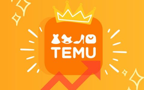 Temu美国半托管开放中国直发 卖家需持“清关护照”开新店