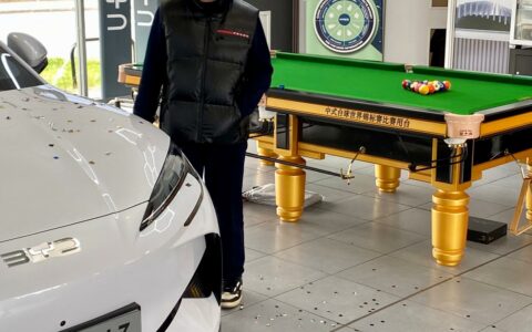 比亚迪海狮07EV护航赵心童夺冠，全球销冠品牌再添星光