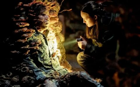 最后生还者第二季第五集：关键战役与角色命运揭晓