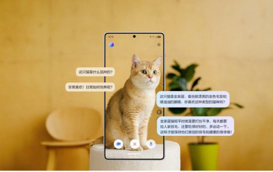 1747379150358086310.jpg 图片3.jpg