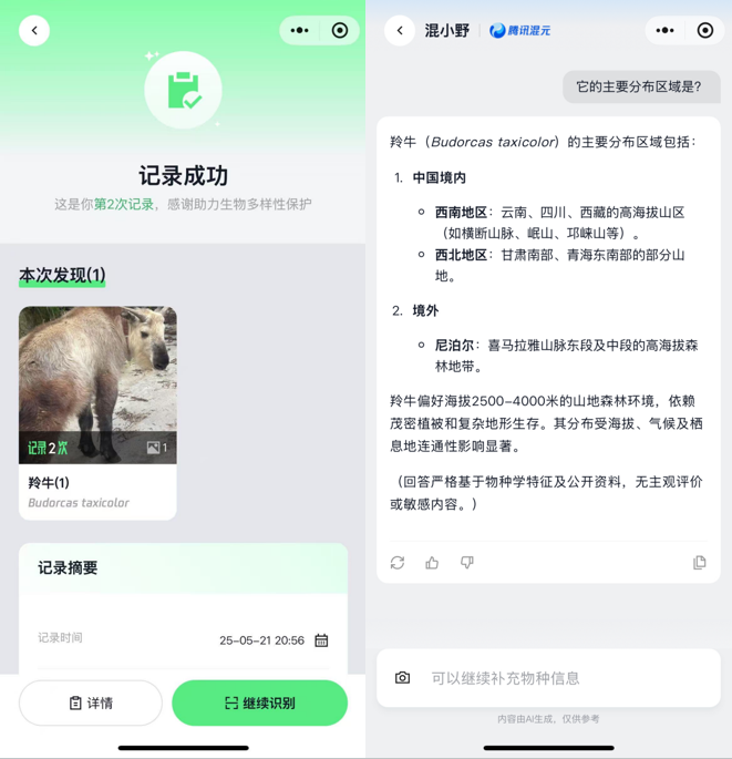 你的手机镜头可变身“自然翻译器” 腾讯“野朋友计划”联合腾讯混元上线物种识别AI