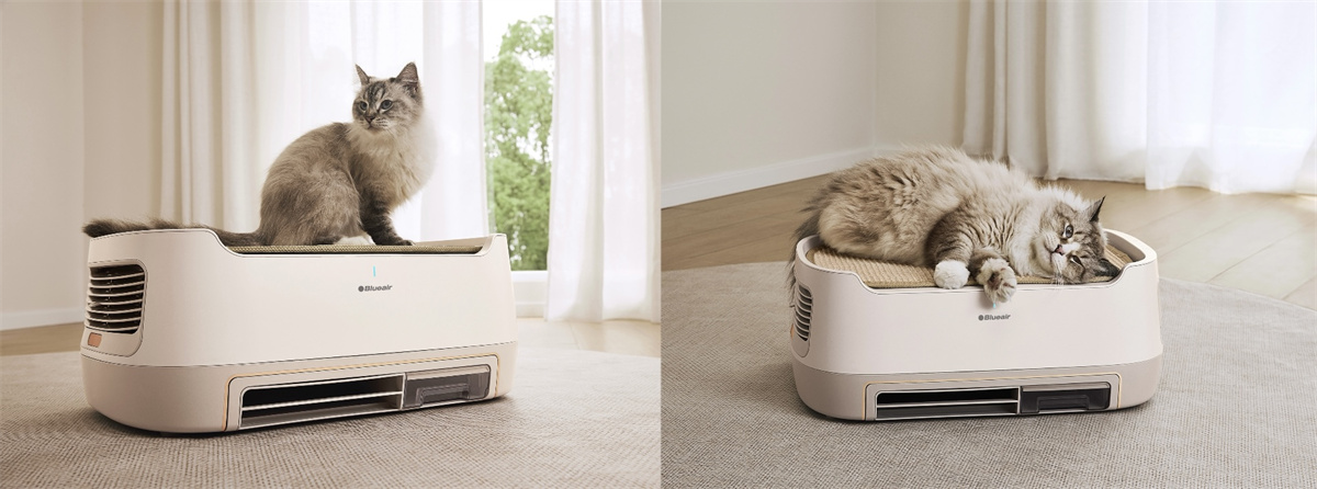 Blueair推出全新宠物空气净化器「布噜噜」Blueair PetAir Pro