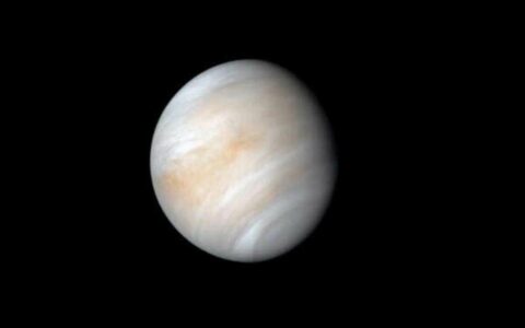 ‌NASA：金星共轨小行星或威胁地球，天文学家呼吁加强监测