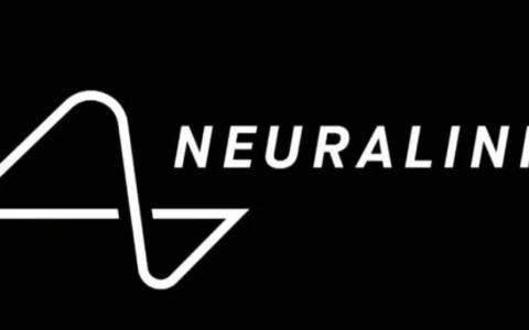 马斯克旗下脑机接口初创公司Neuralink完成6.5亿美元融资