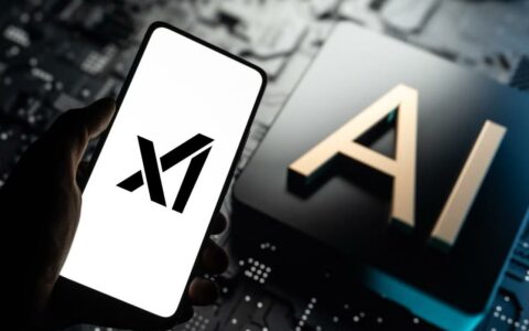 马斯克xAI启动3亿美元股票出售，估值冲至1130亿美元