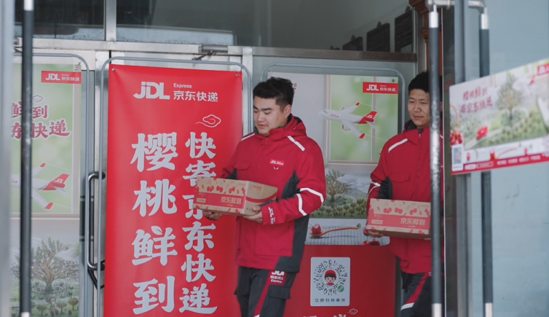 京东物流大连樱桃全货机启航 “北纬39度甜”最快次晨送上门