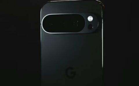 谷歌Pixel12系列代号曝光：将以灵长类动物命名
