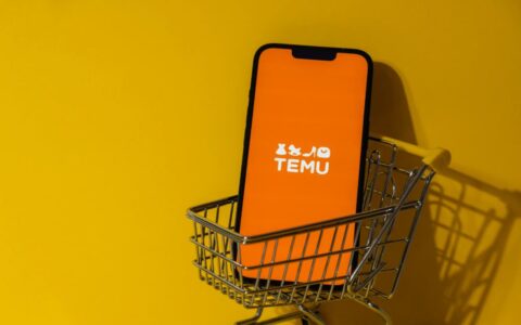 TEMU土耳其战略升级：本地仓配中心落地伊斯坦布尔