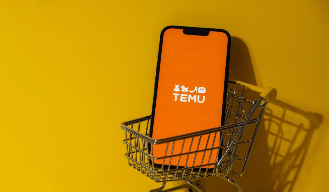 TEMU土耳其战略升级：本地仓配中心落地伊斯坦布尔