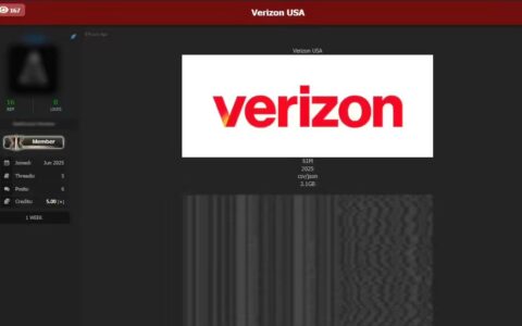 美运营商Verizon否认大规模数据泄露：6100万记录系旧数据无关