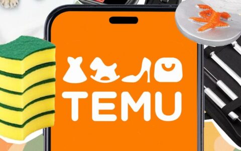 Temu南非首仓启用，本地配送提速至“次日达”