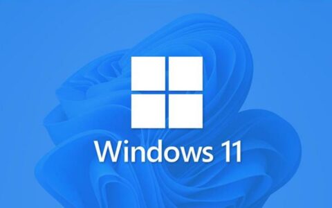 微软发布Win11 Canary预览版27902更新：修复桌面图标异常问题