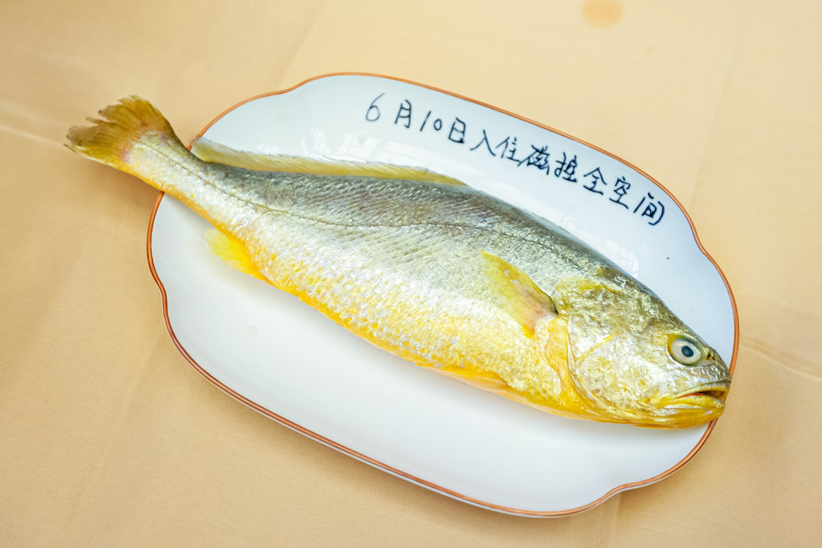 3名海尔麦浪冰箱用户开麦分享使用体验，新款麦浪同时发布