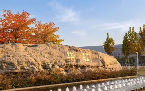 ‌华虹半导体发布2025年Q2财报：营收增长18.3%，产能利用率创新高