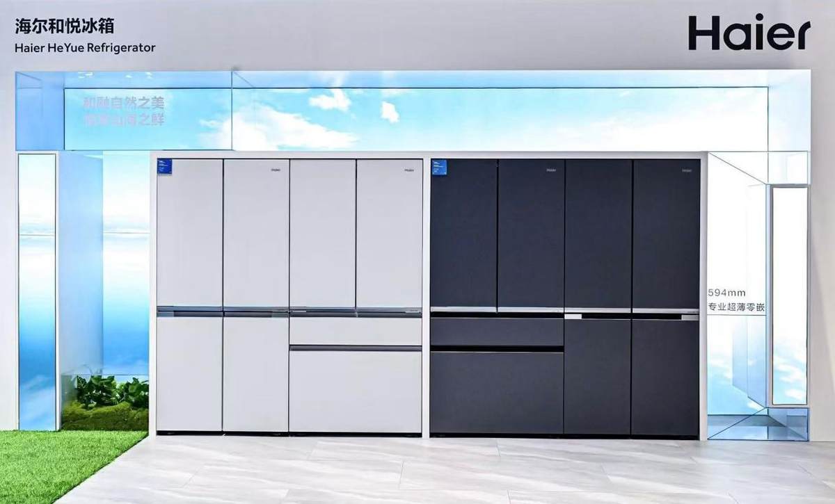 中国冰箱业TOP5型号4款是海尔