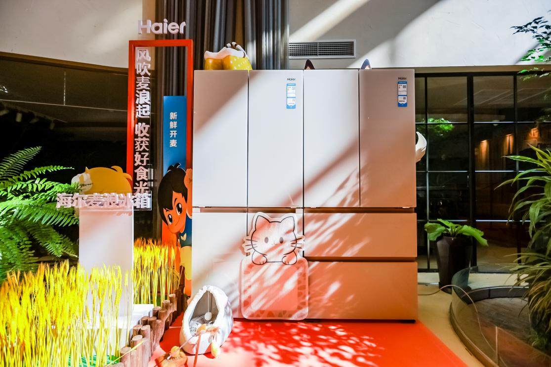中国冰箱业TOP5型号4款是海尔