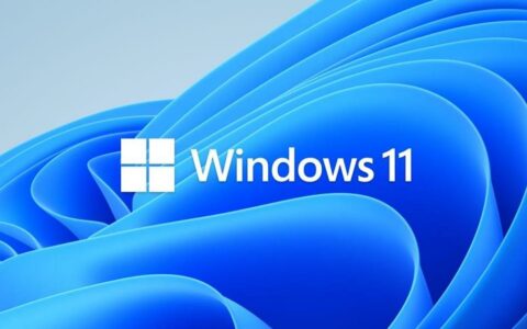 ‌微软发布Win11 Canary 27943预览版 修复存储、任务栏与HDR问题