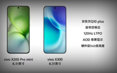 ‌vivo X300标准版渲染图曝光：6.31寸屏塞入Pro级配置，蔡司2亿主摄+HiFi回归