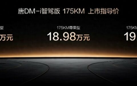 唐DM-i 175KM版上市，置换补贴后16.98万起，引领家庭出行新时代