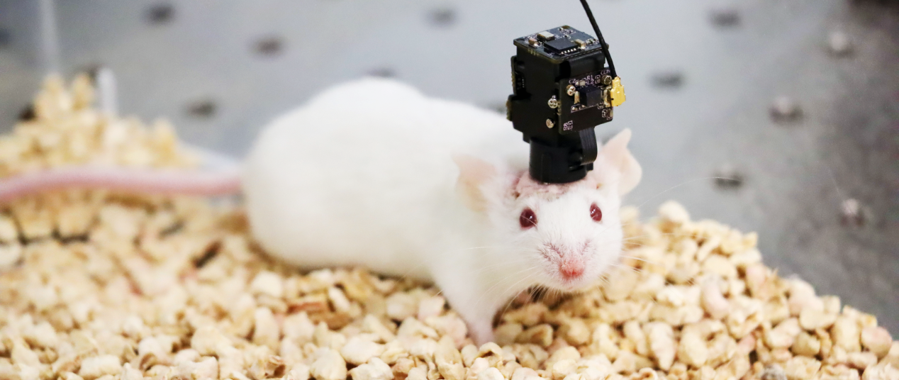 多款科技新品数贸会全球首发 这家西湖国企为什么能？