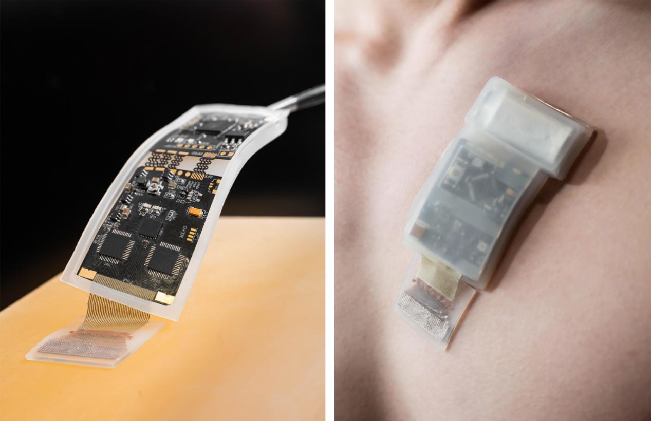 2025世界顶尖科学家论坛将举行，徐升讲述转行背后的“蝴蝶效应”