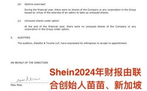 Shein最新财报实锤文件曝光：联合创始人及新加坡高管共同签名