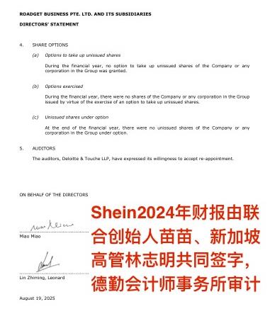 Shein最新财报实锤文件曝光：联合创始人及新加坡高管共同签名