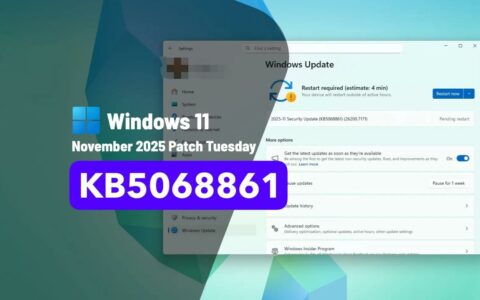 ‌微软Win11十一月更新灾情：安装失败与网络搜索问题频发
