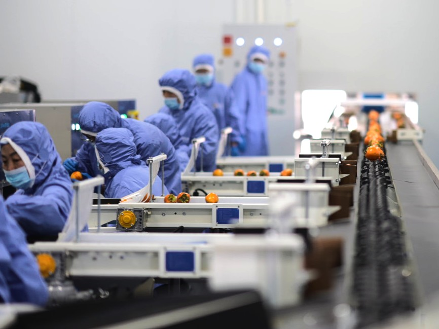 中国三星助力乡村振兴有“质”更有“智”