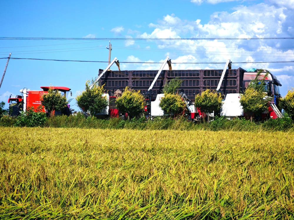 中国三星助力乡村振兴有“质”更有“智”