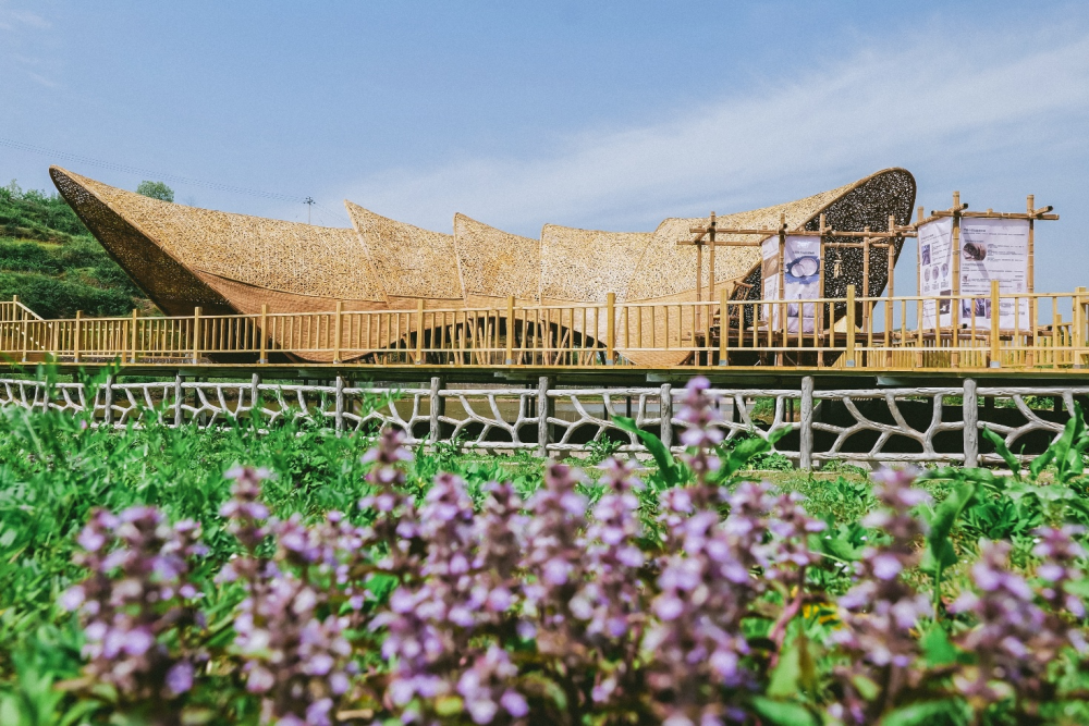 中国三星助力乡村振兴有“质”更有“智”