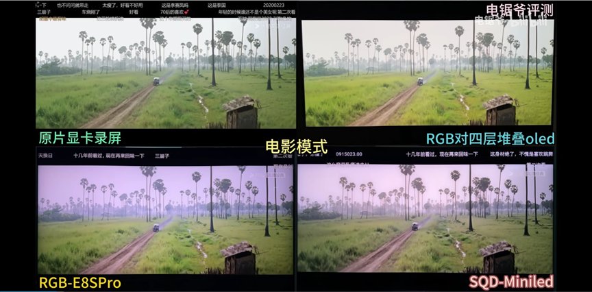 RGB-Mini LED、SQD-Mini LED、OLED哪个好？该如何选购电视？