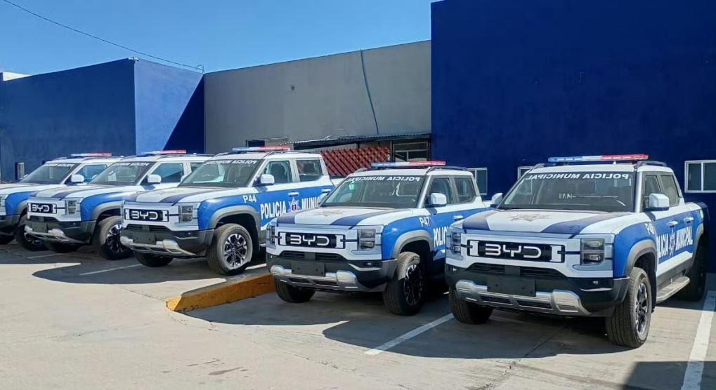 中国新能源车出口海外，比亚迪入选多国公务车